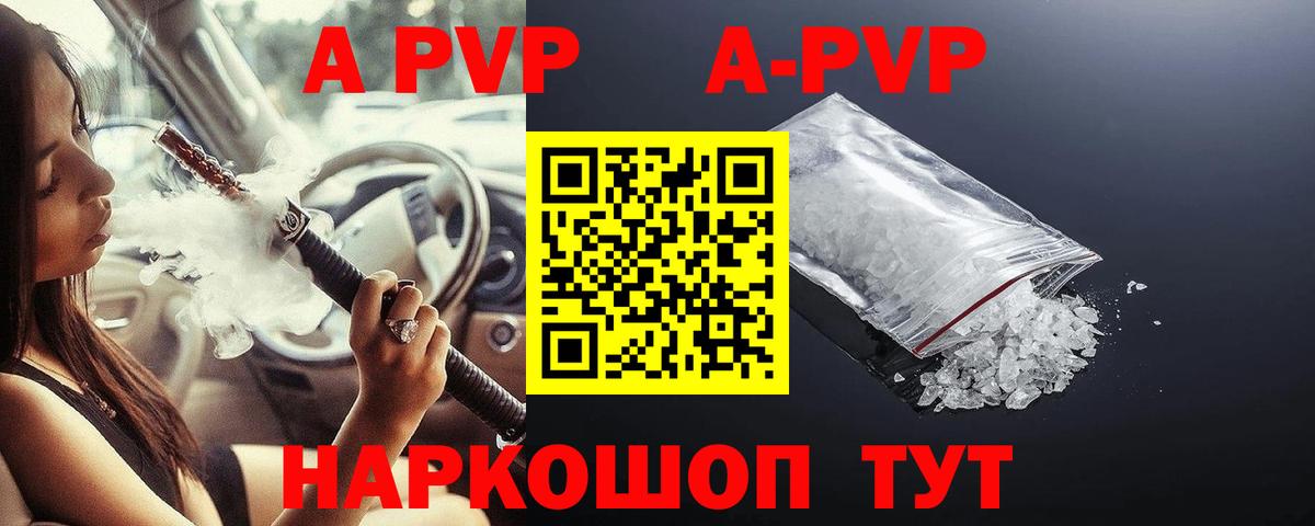 A PVP СК Новомосковск