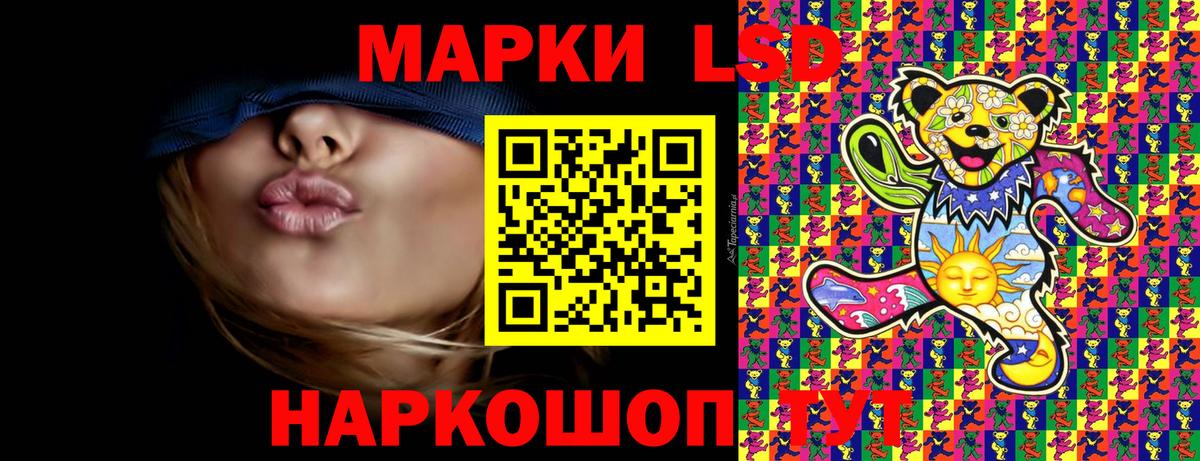 Галлюциногенные грибы Новомосковск