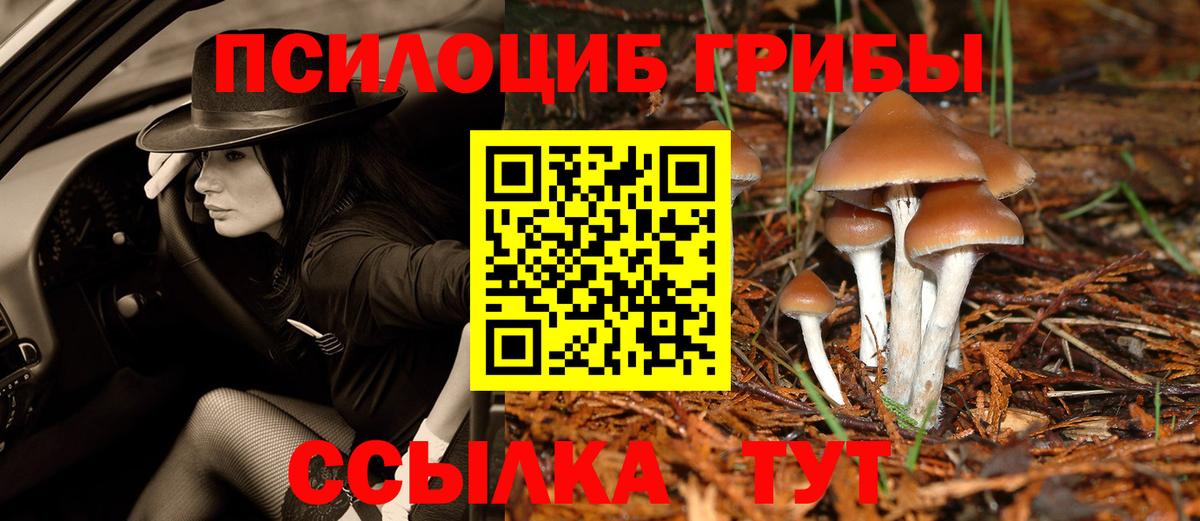 Галлюциногенные грибы Psilocybine cubensis Новомосковск