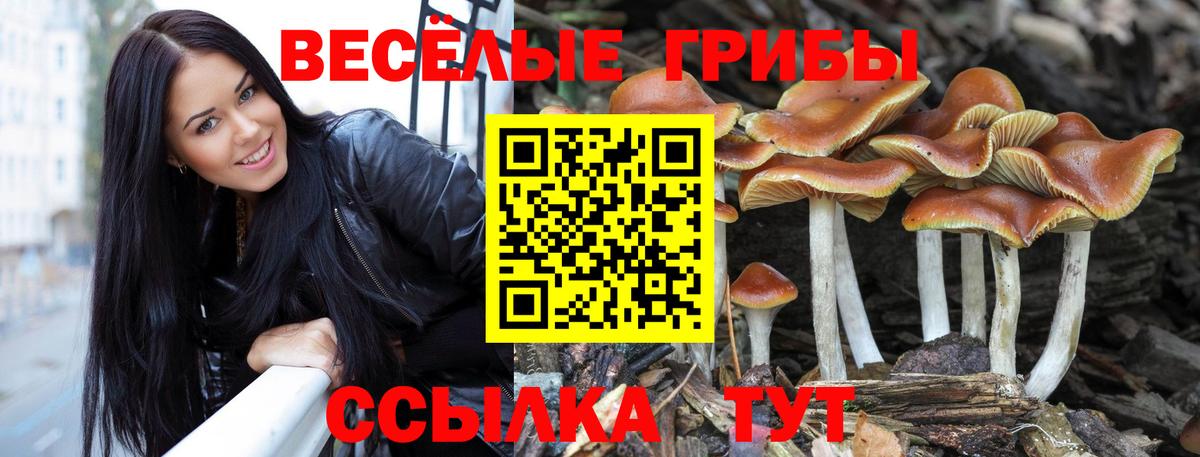 Псилоцибиновые грибы MAGIC MUSHROOMS  Псилоцибиновые грибы ЛСД  Новомосковск  Вход с VPN 